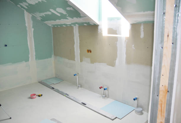 Best Airborne Mold Testing  in USA